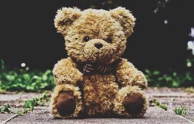 ours en peluche