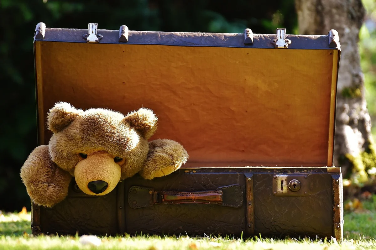 Valise 1 : Le sac pour le travail et l’accouchement (le sac “urgences”)