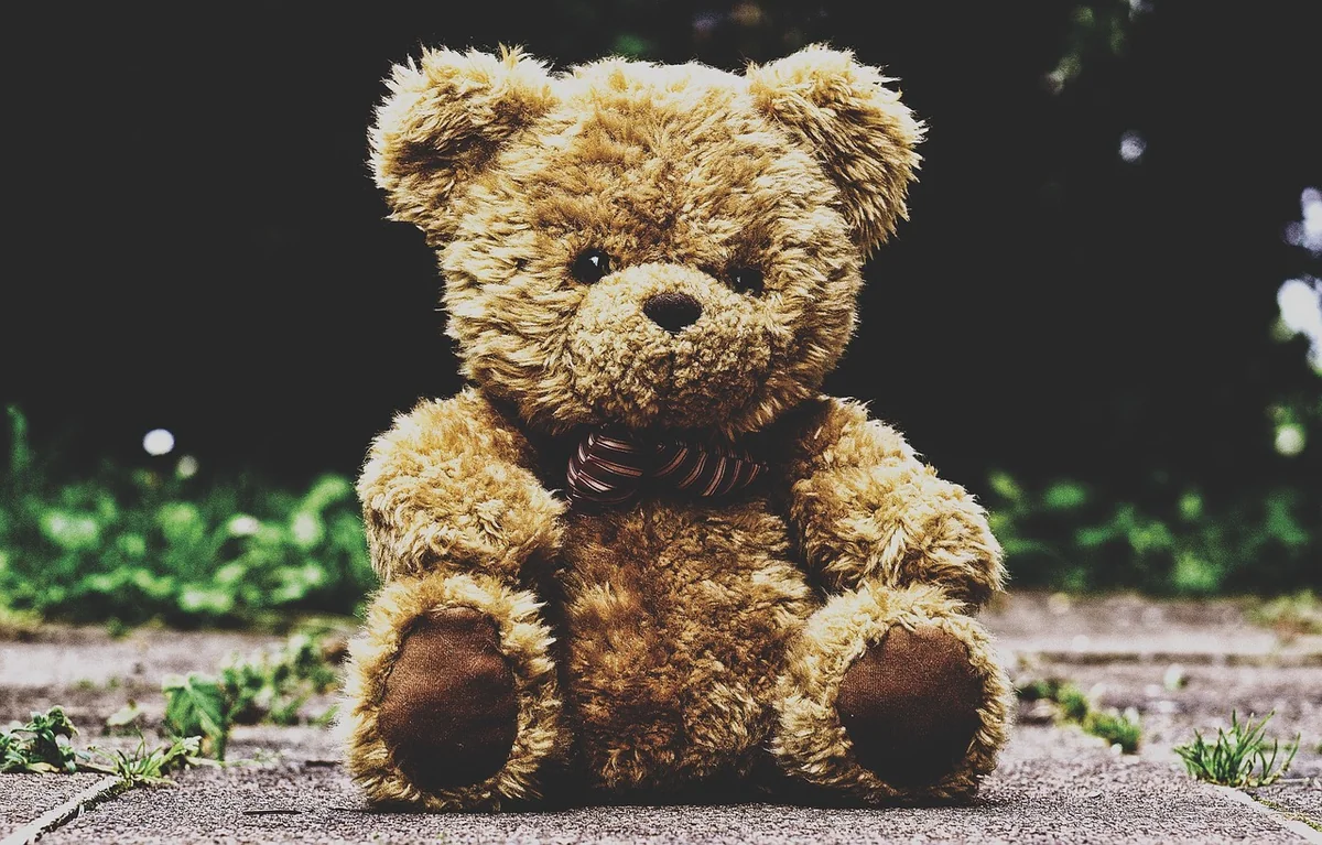 Les tendances 2026 pour nommer son ours
